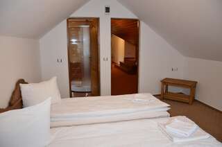 Отели типа «постель и завтрак» LaPociu Кымпени Двухместный номер с 1 кроватью и собственной ванной комнатой-1